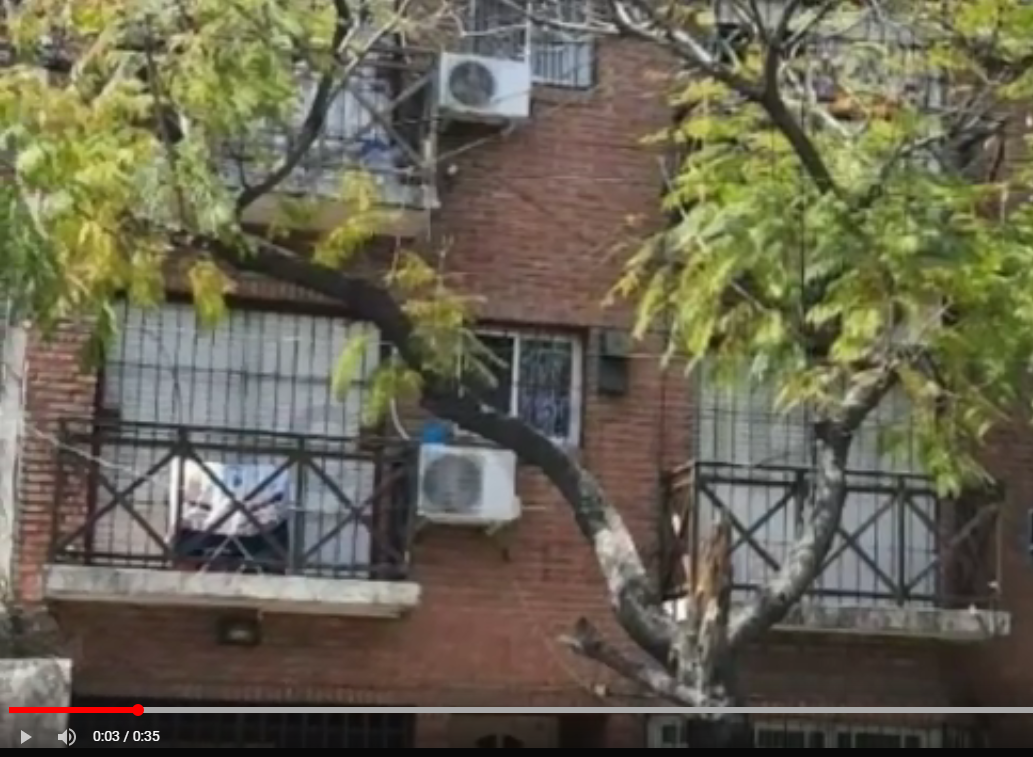 Videos en las publicaciones