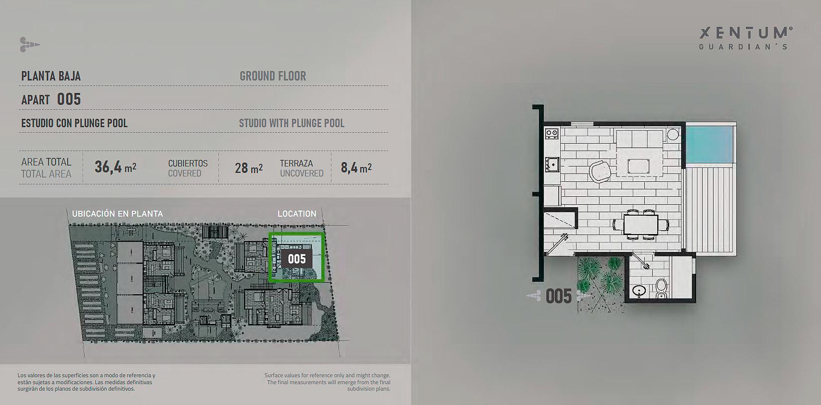 ESTUDIO CON PLUNGE POOL