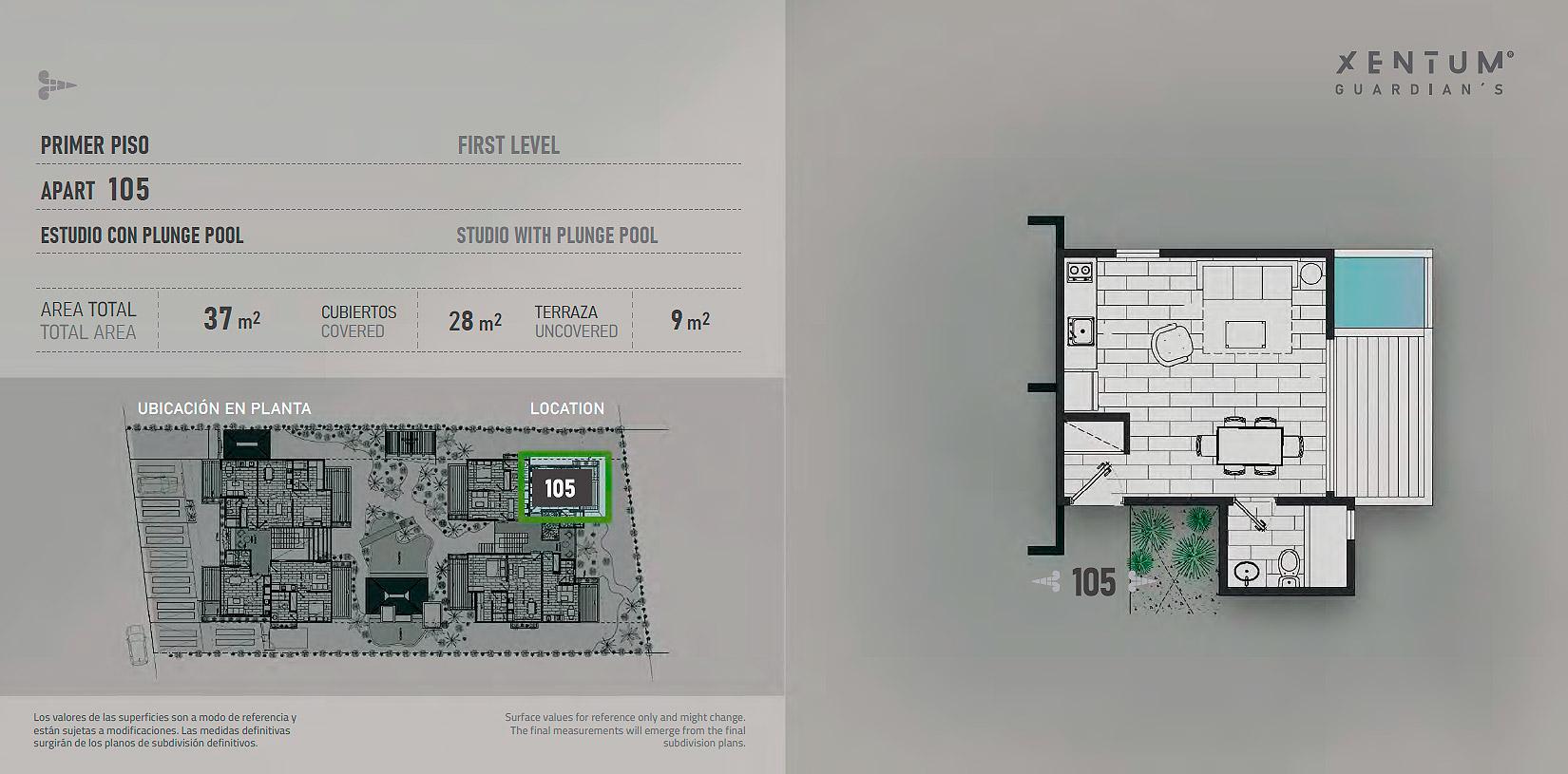 ESTUDIO CON PLUNGE POOL