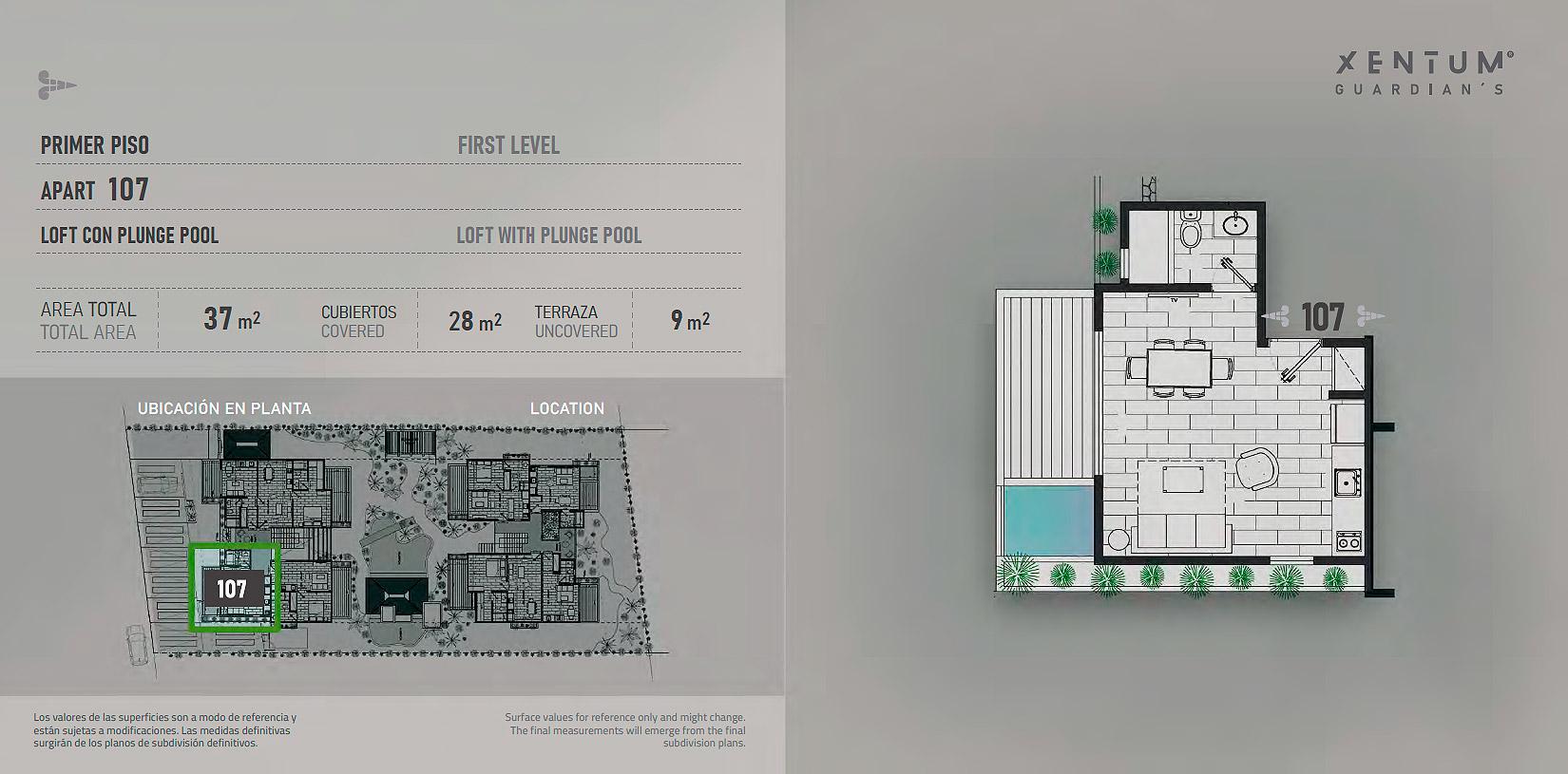 LOFT CON PLUNGE POOL