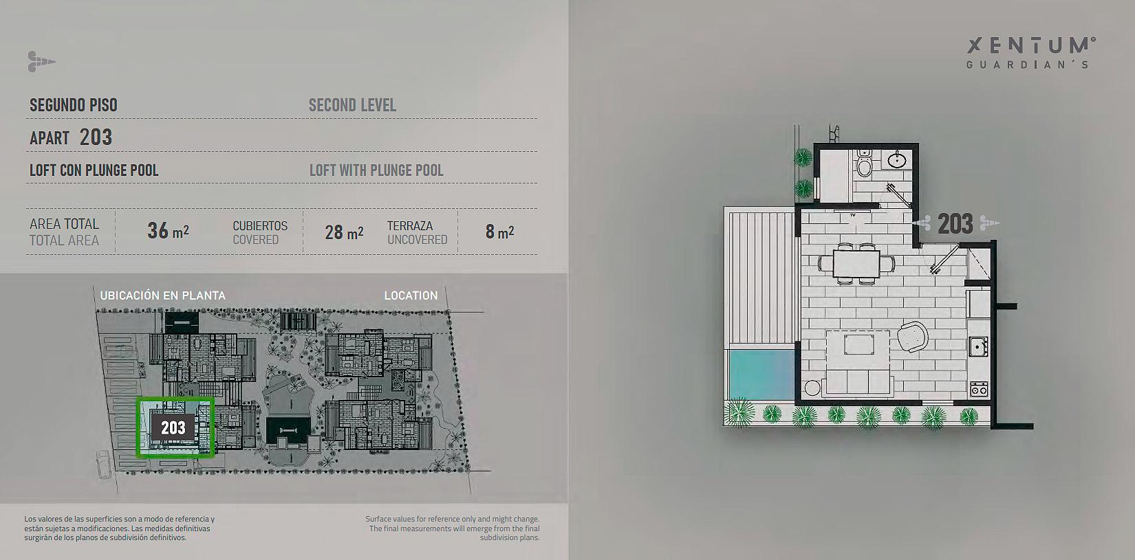 LOFT CON PLUNGE POOL