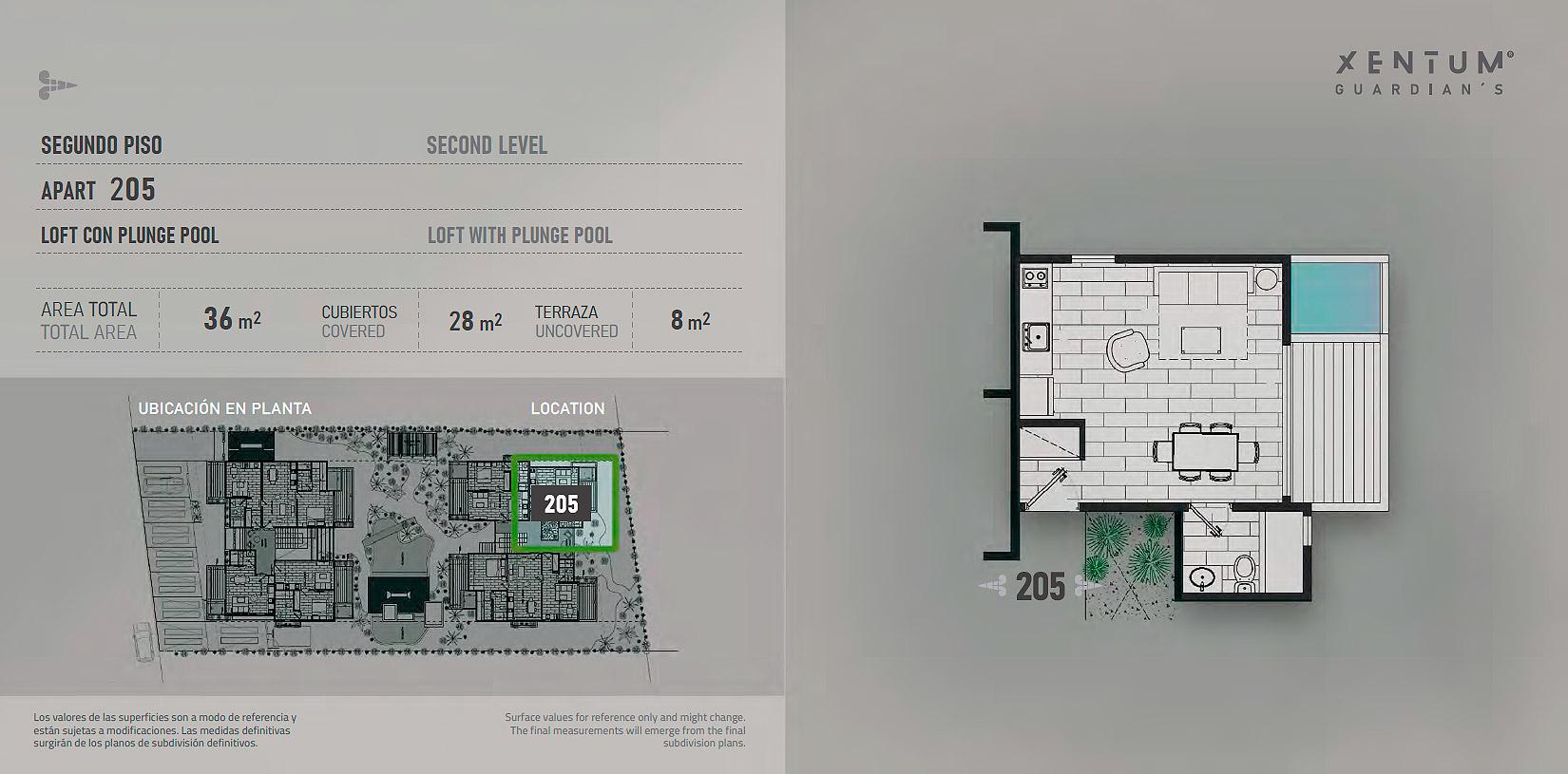 LOFT CON PLUNGE POOL