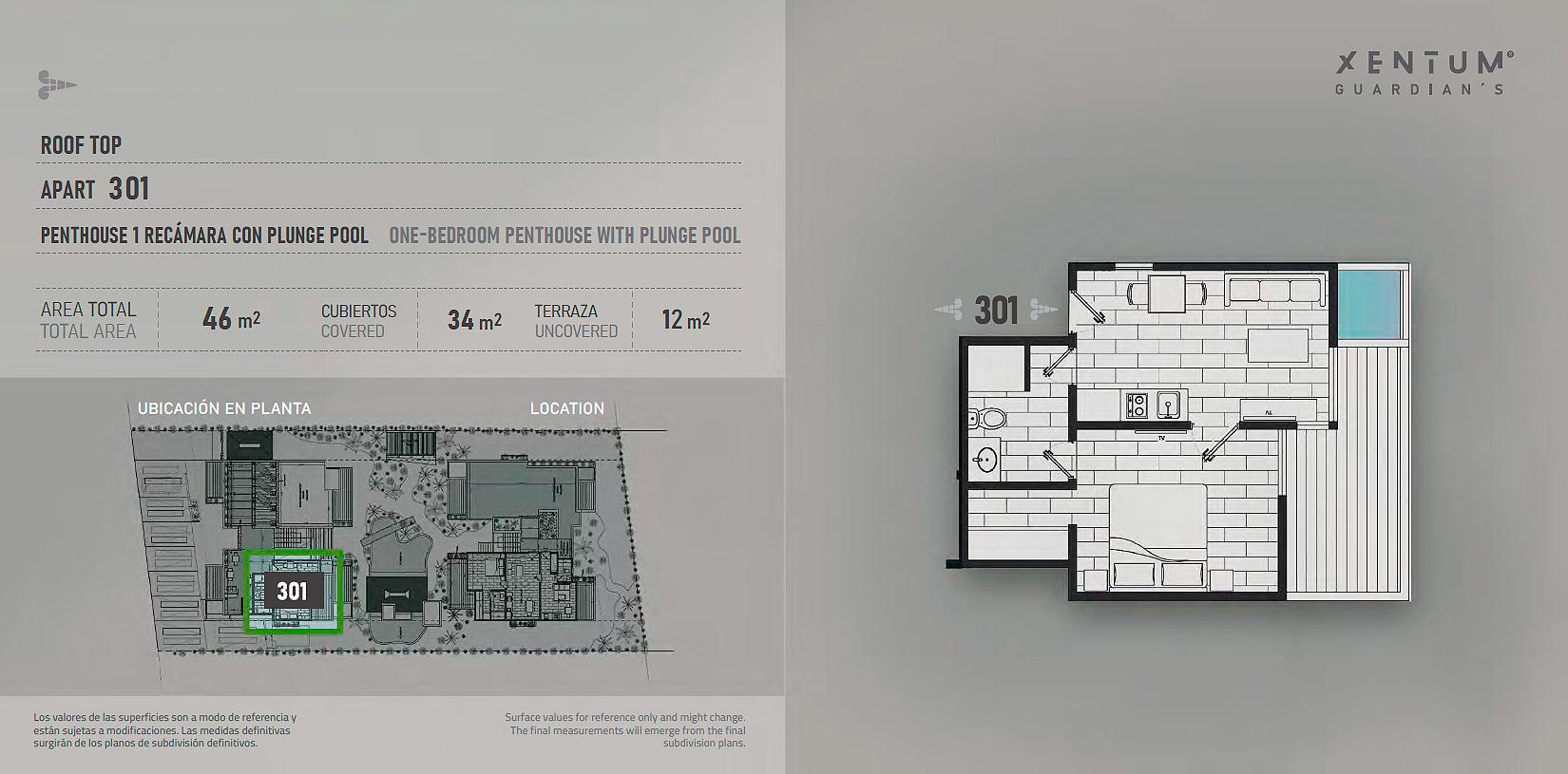 PENTHOUSE 1 RECÁMARA CON PLUNGE POOL