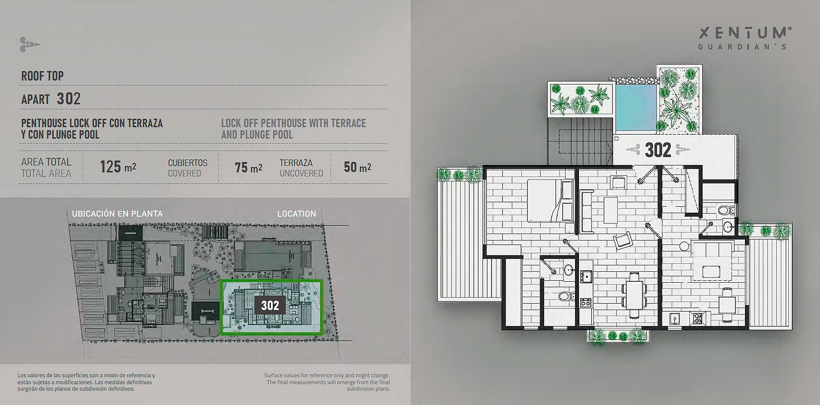 PENTHOUSE LOCK OFF CON TERRAZA Y CON PLUNGE POOL