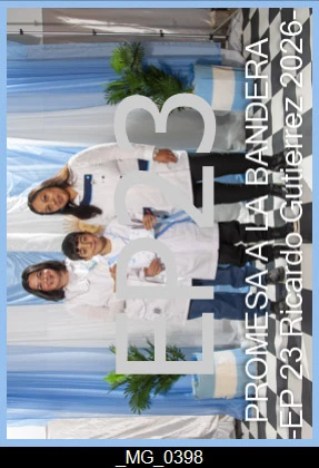idxTM70-145.webp