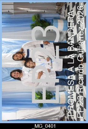 idxTM70-148.webp