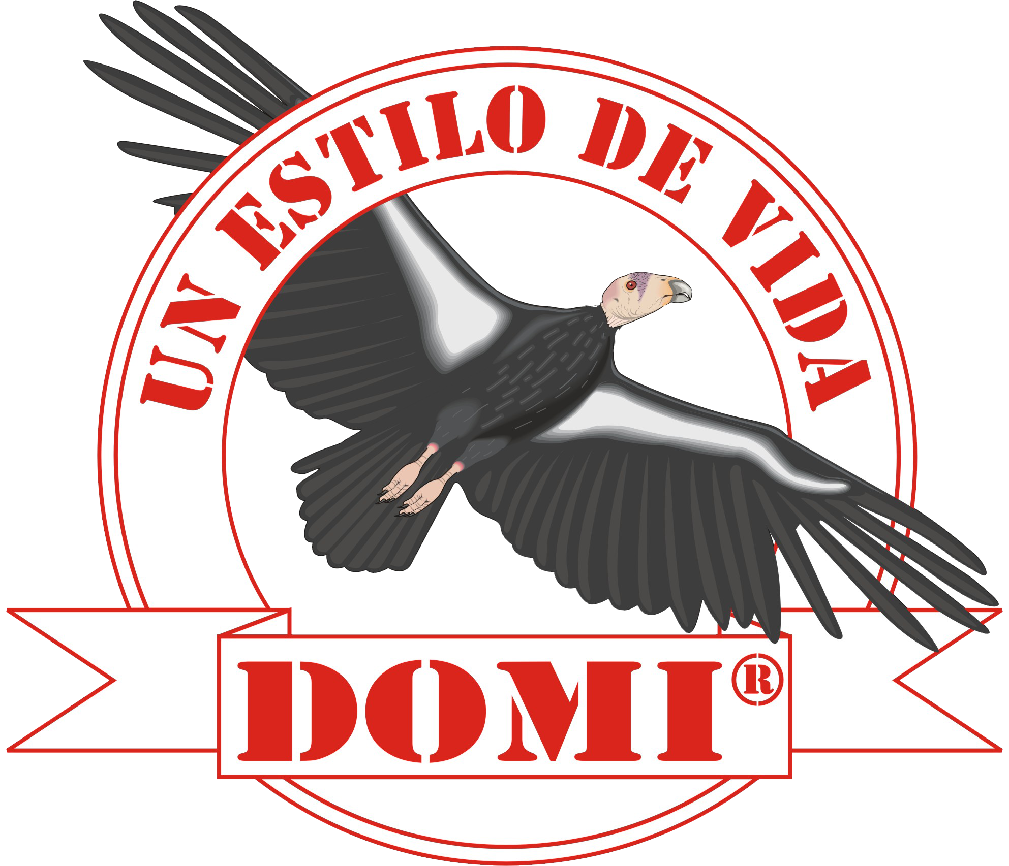 INDUMENTARIAS DOMI