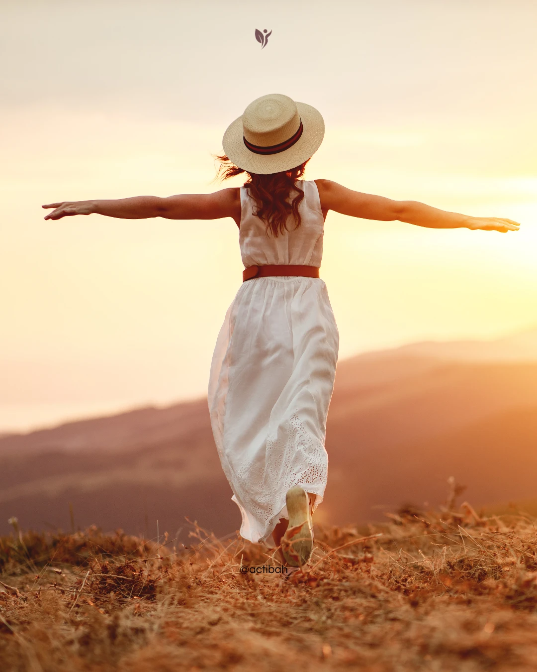 11.webp