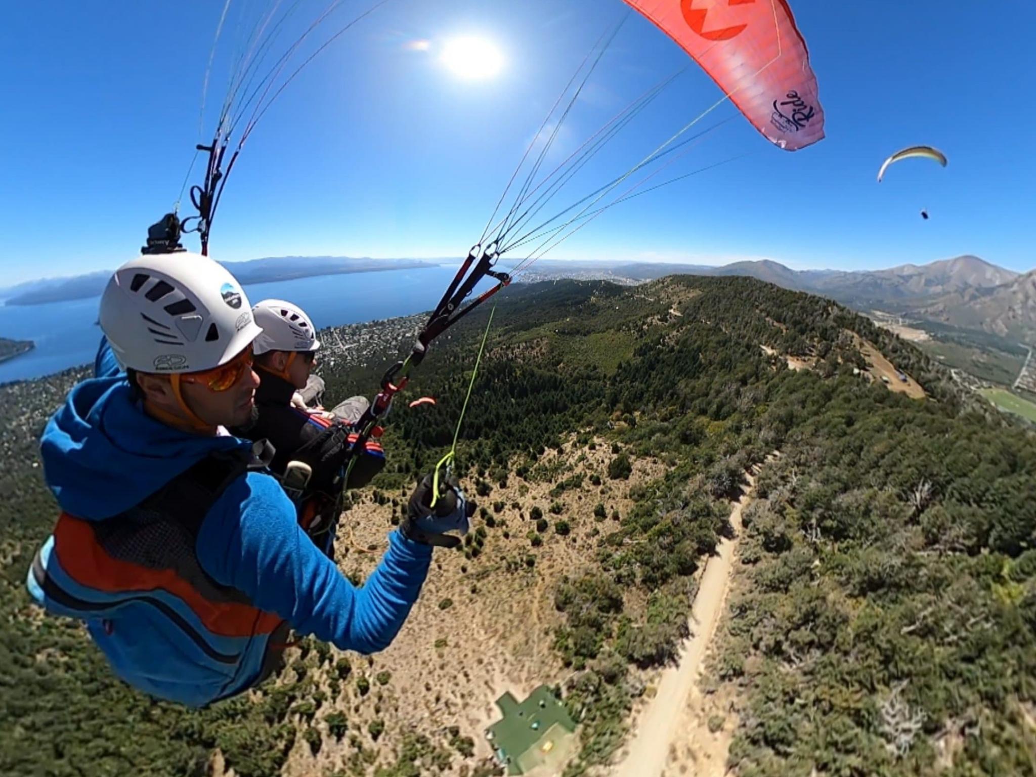Volando sobre el bosque