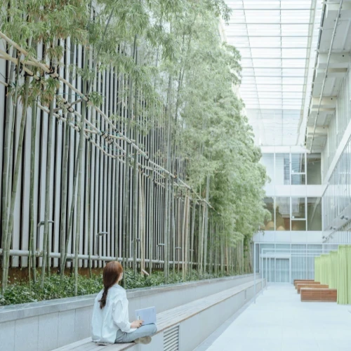 Una tendencia: volver a lo humano 🫀 en un mundo digital 💻