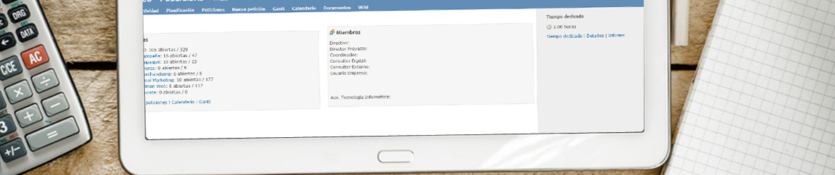 Software para Control de Proyectos - Personalización - Dominio Propio - Metodología PMI - Configuración Acorde al Modelo de Negocio