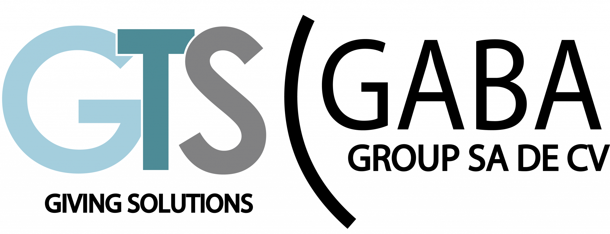 GTS GABA GROUP SA DE CV