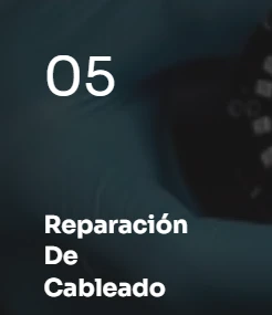 55.webp