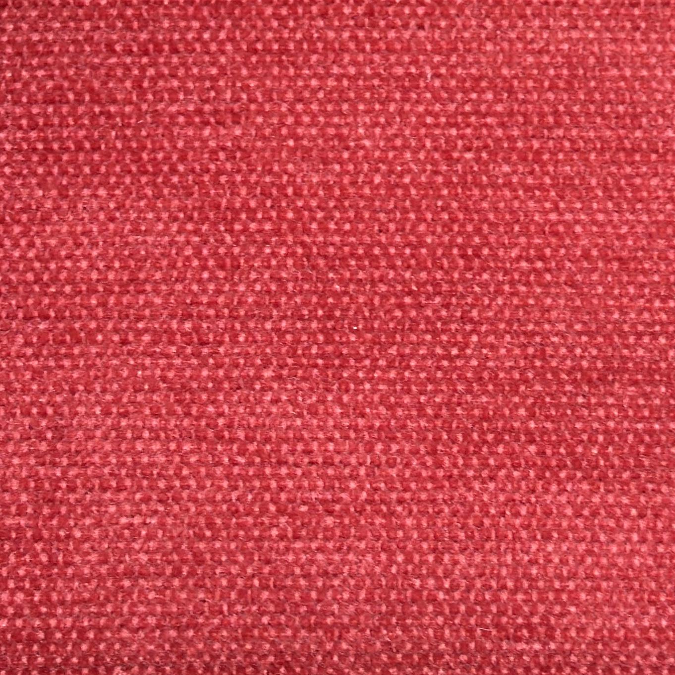 12 - CORAL
