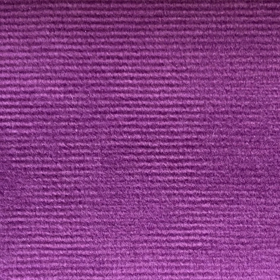 21 - Violeta