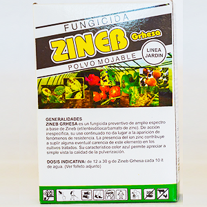 Zineb