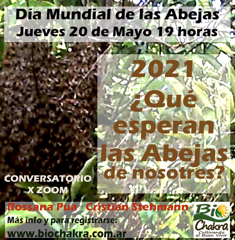 ¿Qué esperan las Abejas de Nosotros?  Hacia una Cultura Apícola Resiliente