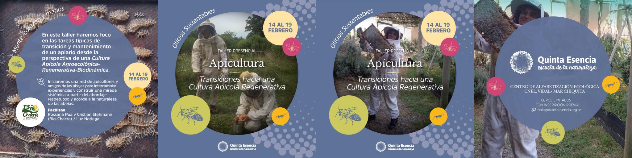 Transiciones hacia una Apicultura Agroecológica-Regenerativa_Biodinámica en Escuela Quinta Esencia
