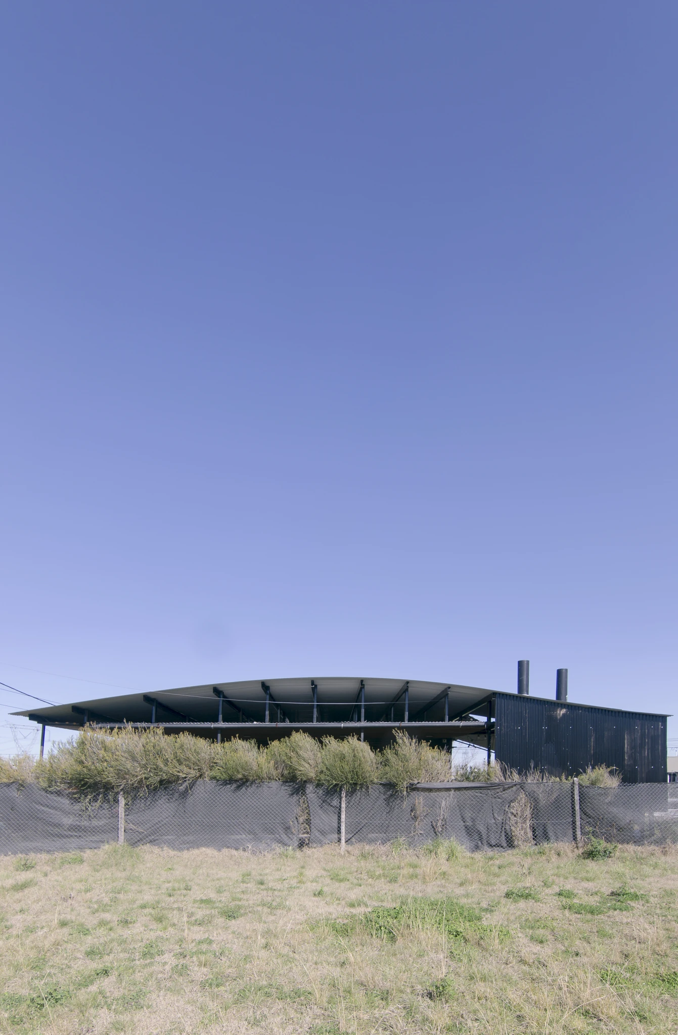 LANEGRITA01.webp