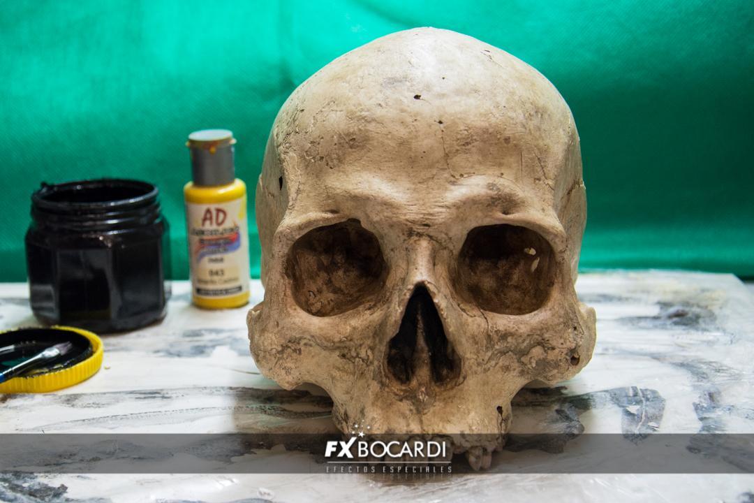 Réplica de cráneo humano, realizada en yeso y pintada con acrílicos.