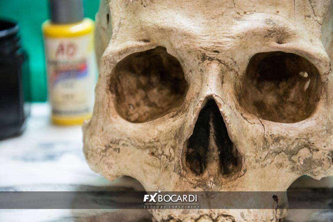 Réplica de cráneo humano, realizada en yeso y pintada con acrílicos.