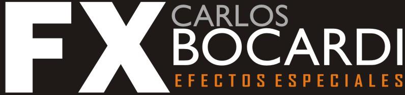 Carlos Bocardi - Realizador FX