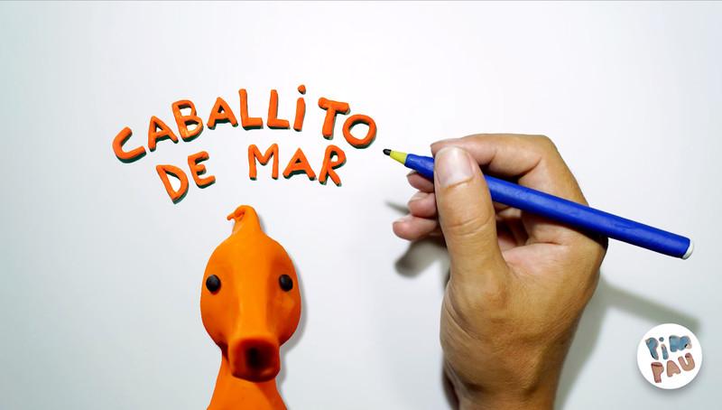 Reseña de CABALLITO DE MAR