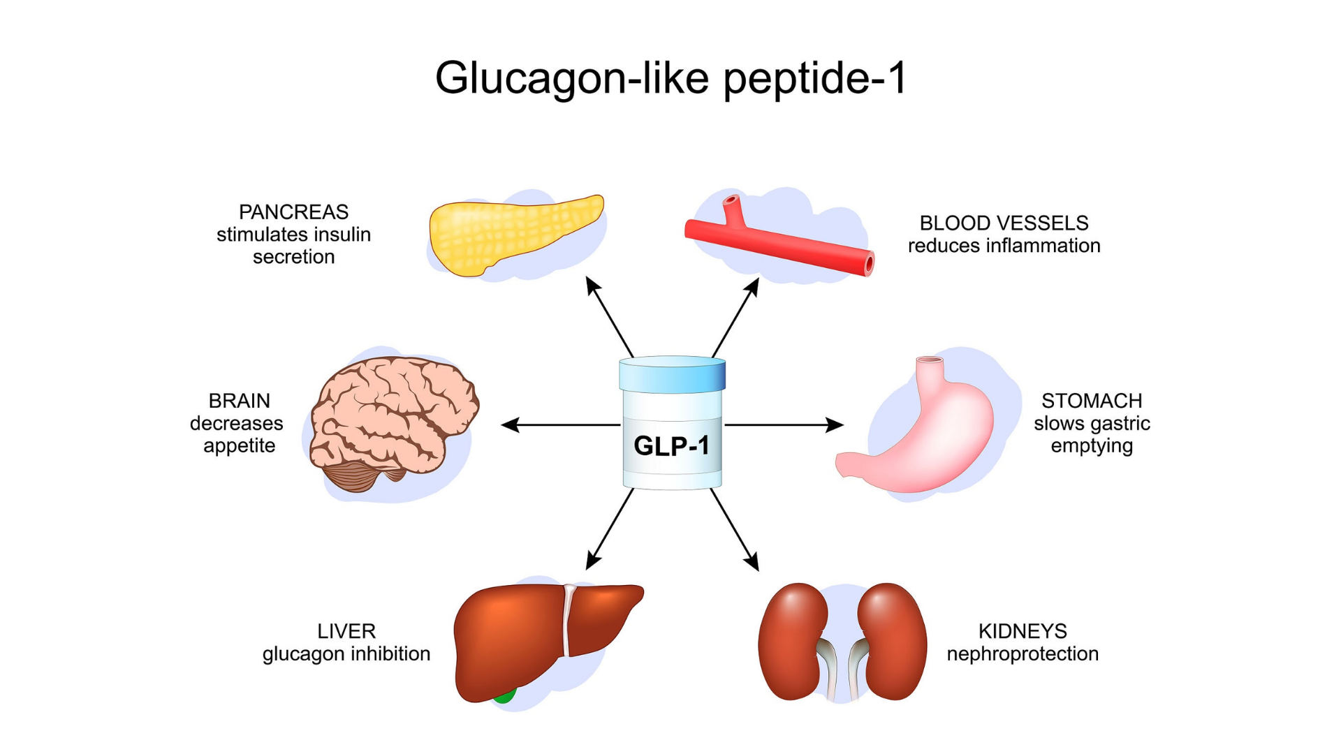 agonistas del receptor glp 1 Frmacos basados en GLP-1: mecanismos implicados en el tratamiento de la obesidad La revolucin metablica de los