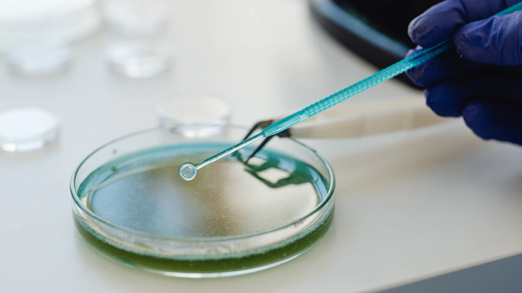Pruebas rápidas de sensibilidad antimicrobiana para bacteriemia por bacterias gramnegativas.