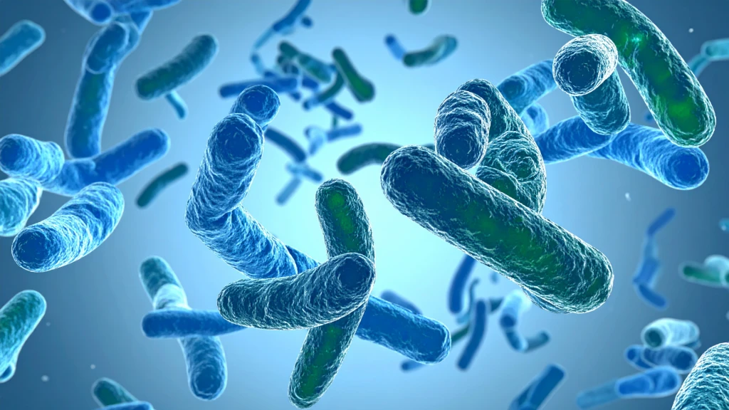 Resistencia antimicrobiana: situación actual y estrategias para abordarla.