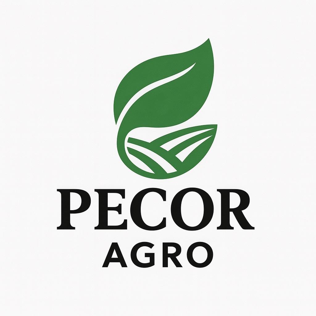 PECOR AGRO - MUNGBEANS from PERU / 페코르 아그로 - 페루 농산물 전문 회사 - 농사 / 가공/ 수출