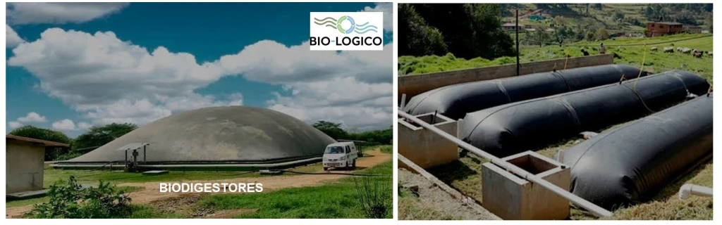 BIODIGESTORES-1