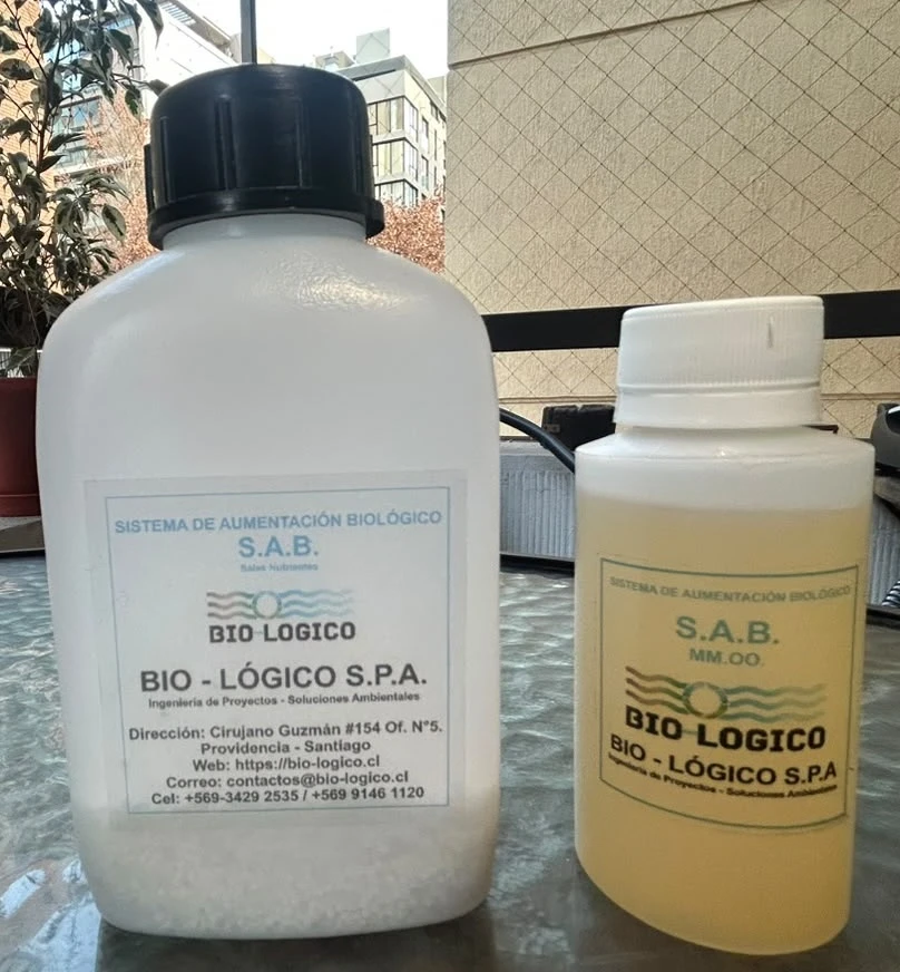 SAB-4