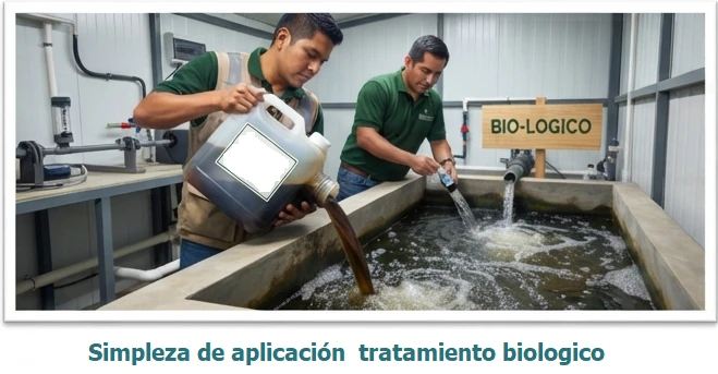 beneficios-3-(9480).webp