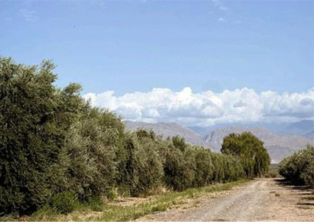 foto01.webp