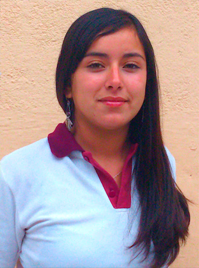  4° Medio 2012