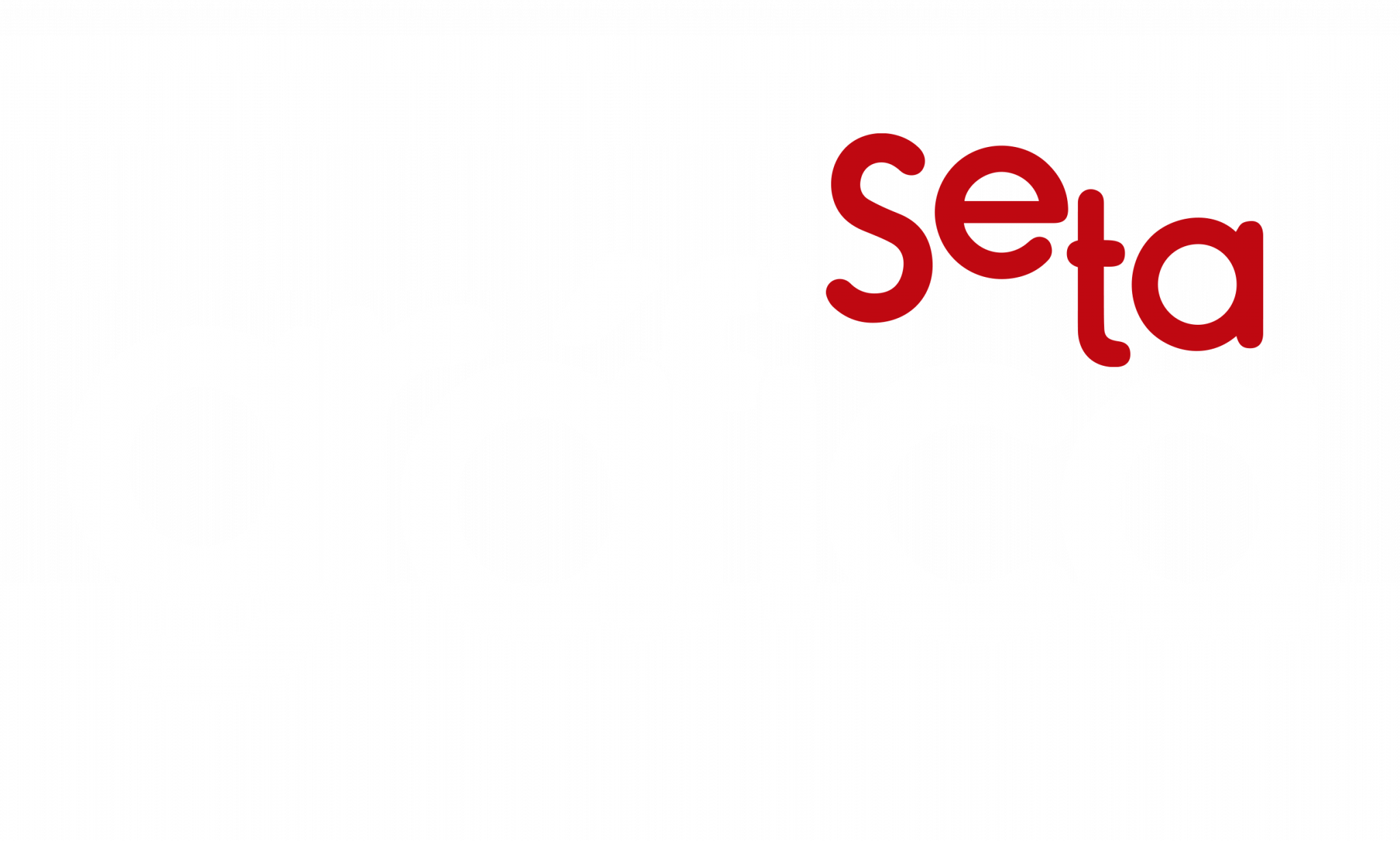 Grafica Seta