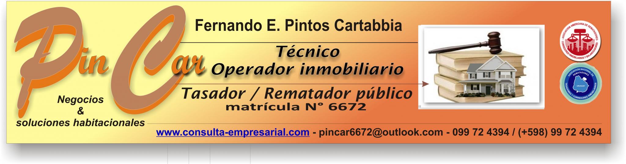 Remates en Internet y Negocios inmobiliarios