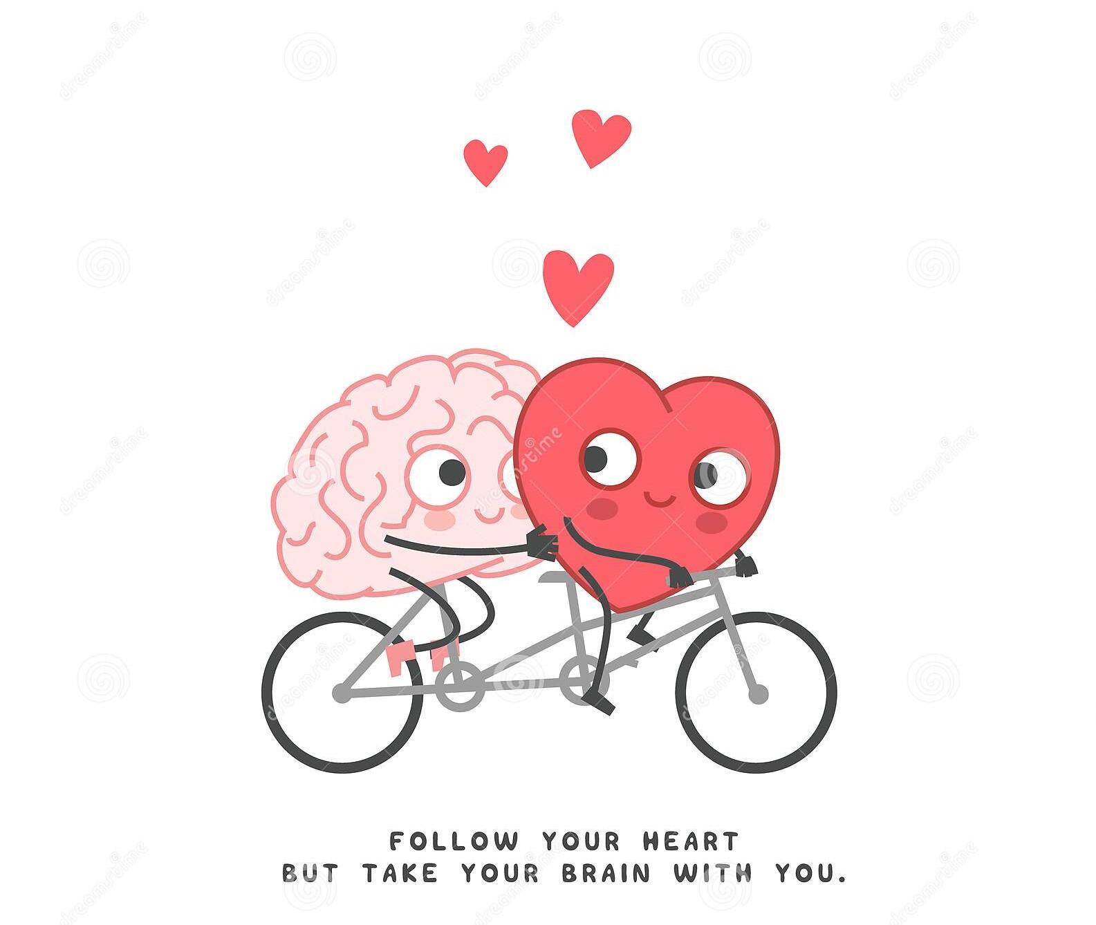 LA BICICLETA DEL INTELECTO 