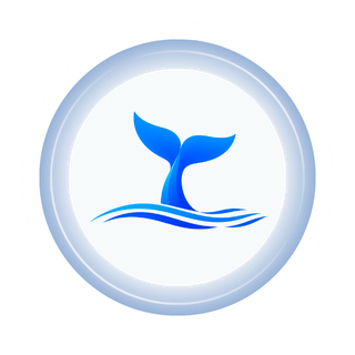 BlueTail Studio