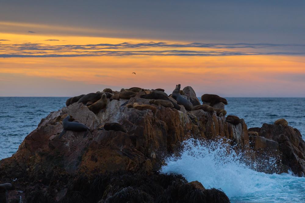 Viña del Mar, Chile