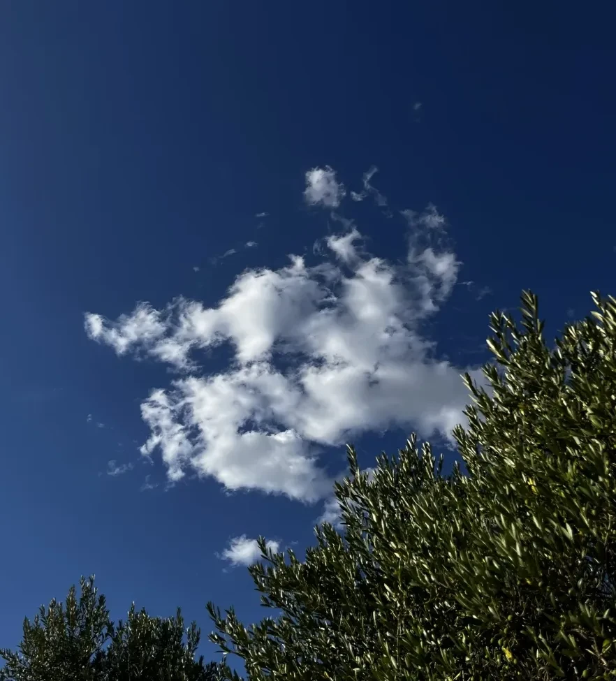 Acerca de
