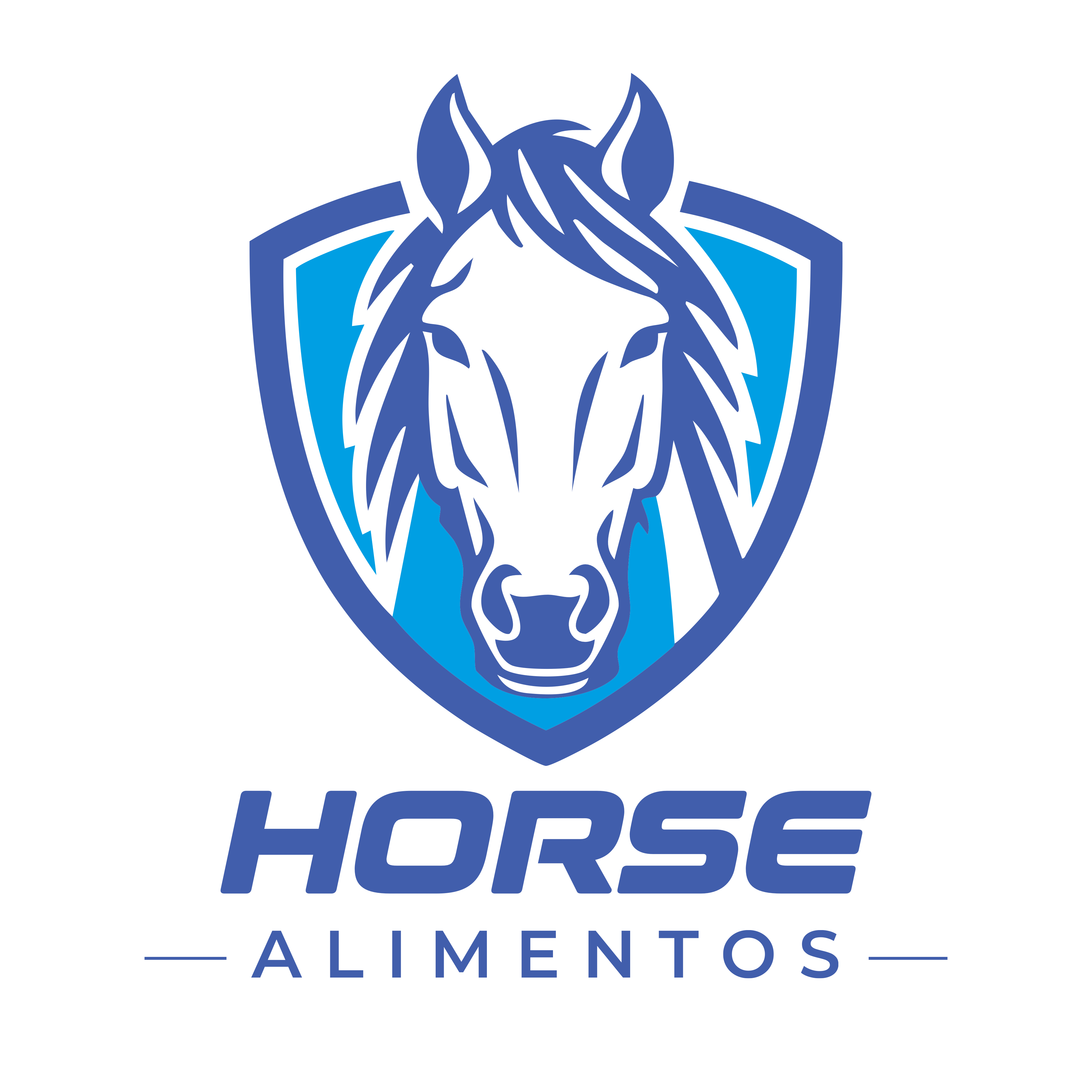 EquiJunior