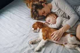 Dormir con nuestros animales