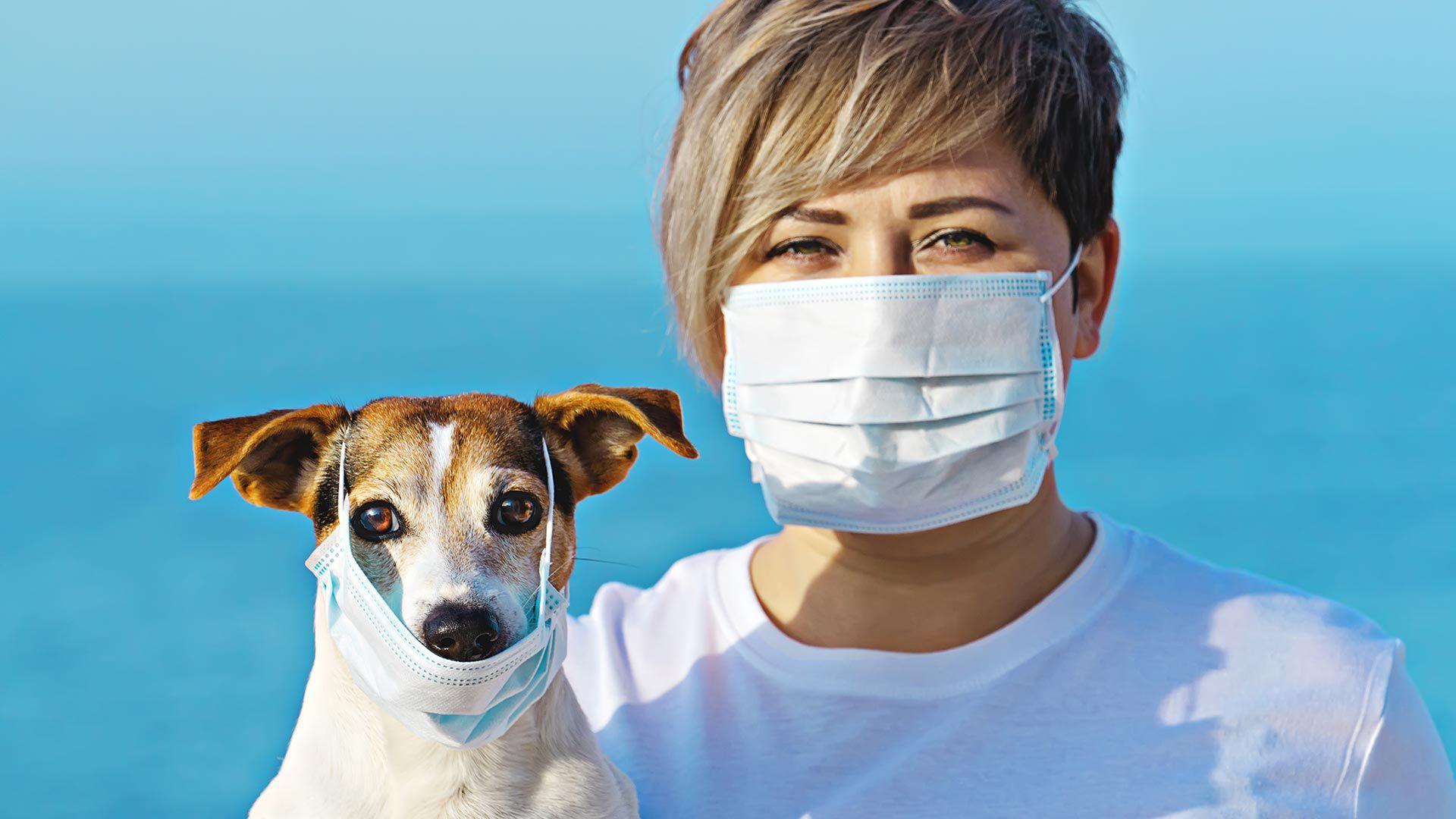 Los animales de compañía no son una amenaza durante la pandemia