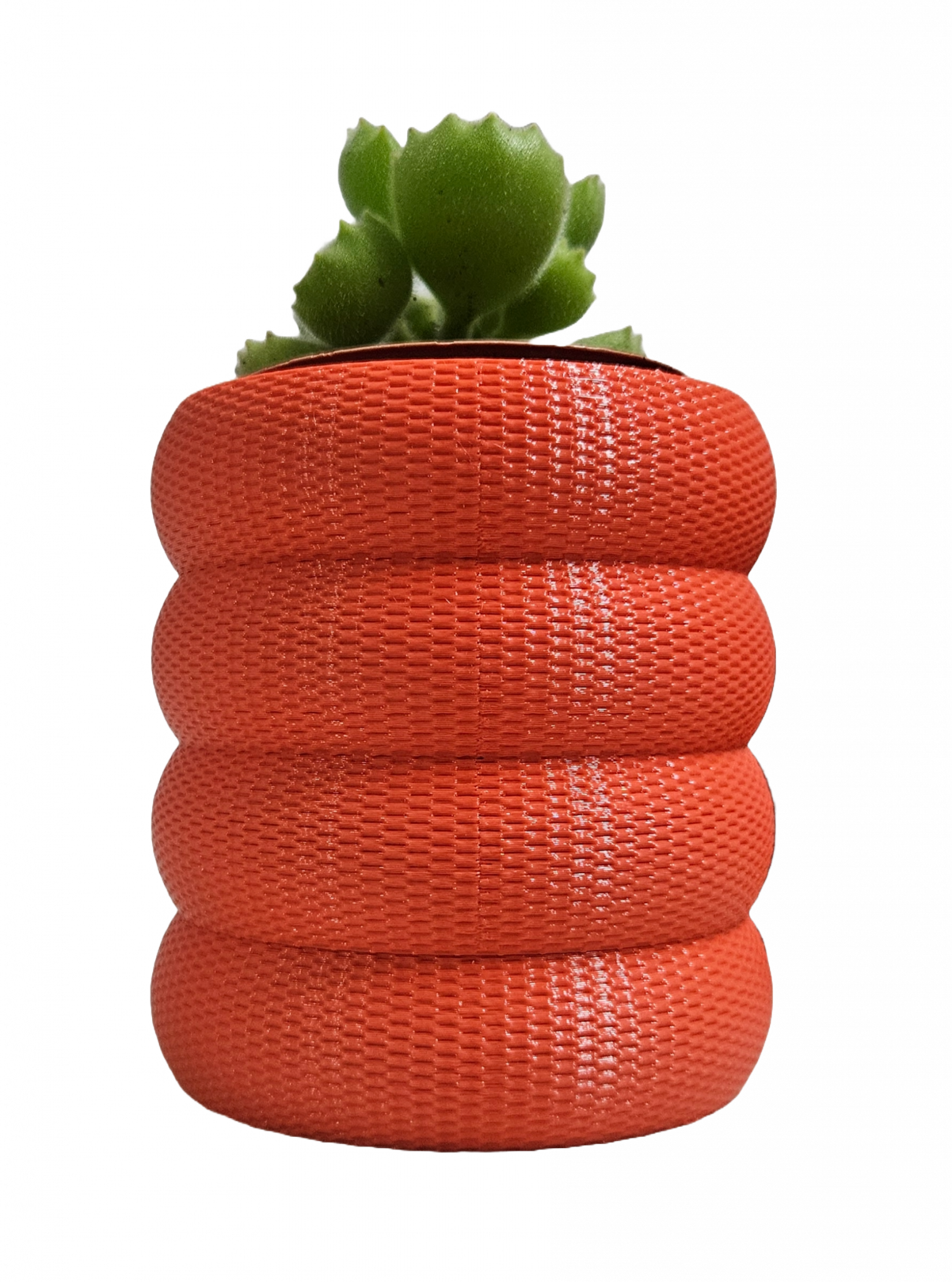 Maceta Magnolia