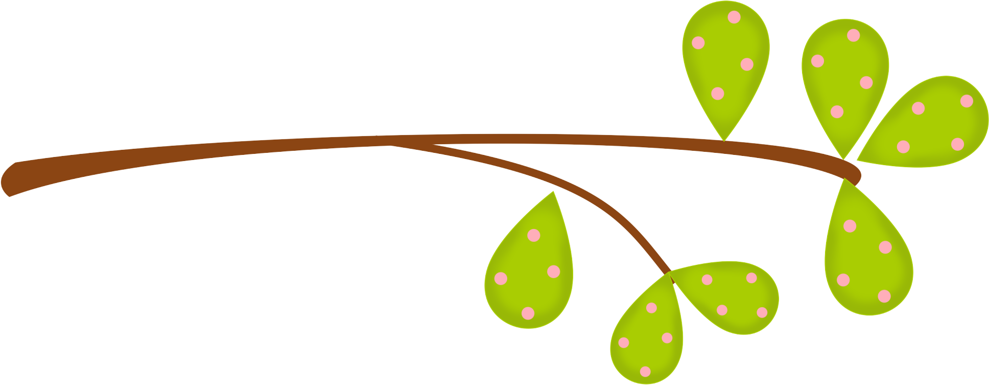 81