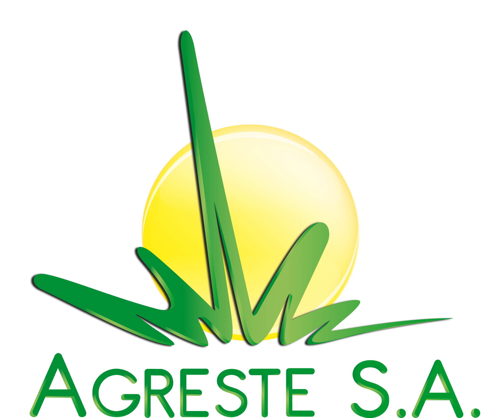 Agreste S.A.