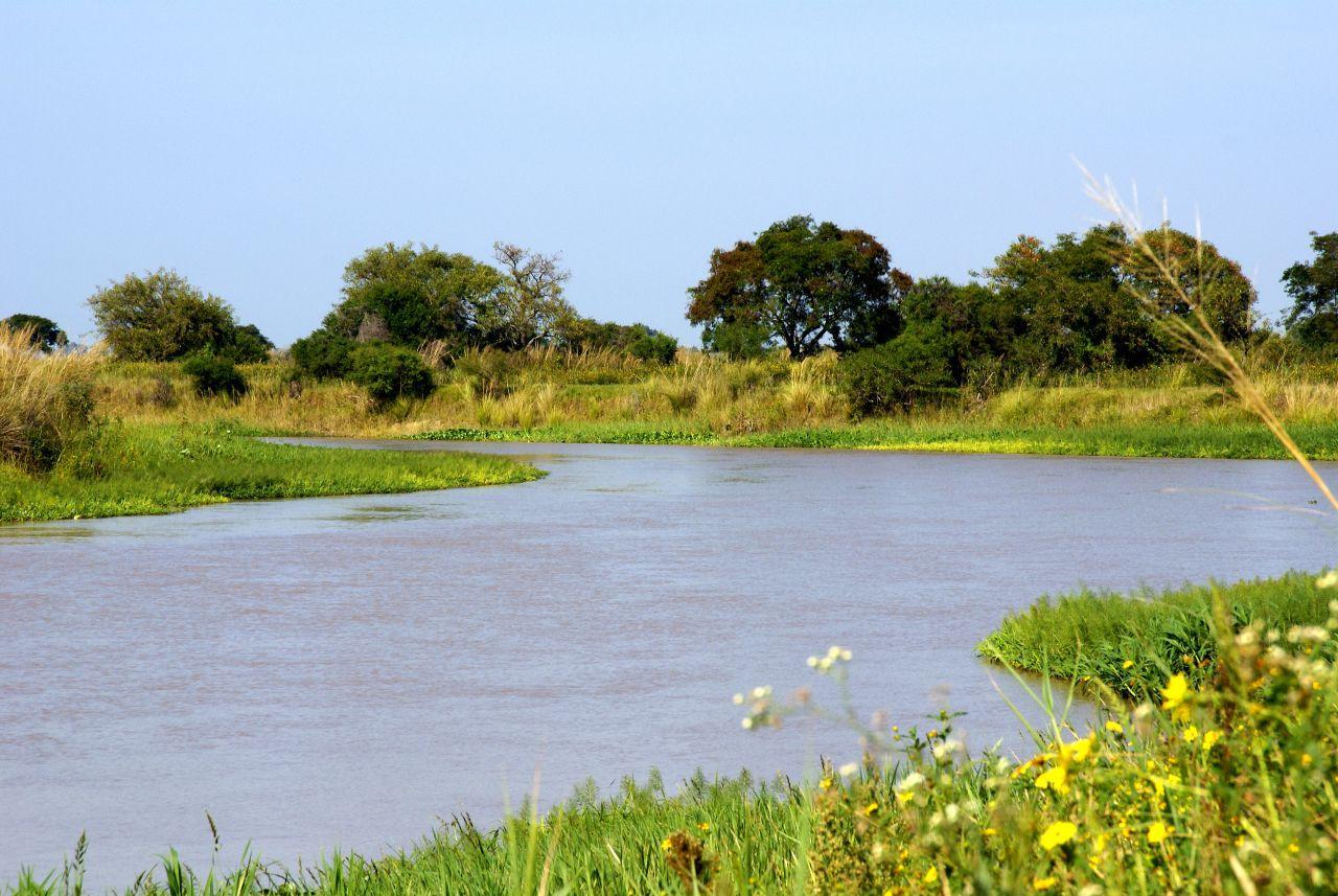 El río con sus curvas y sonidos