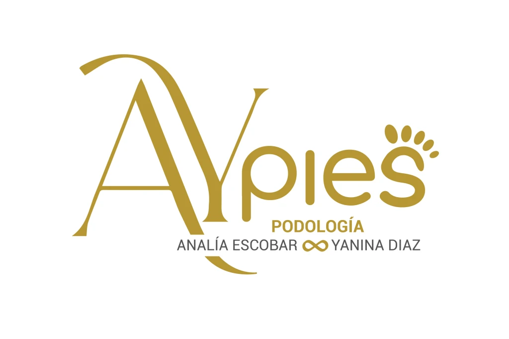 FOTOPERFILREDESMesadetrabajo1m.webp